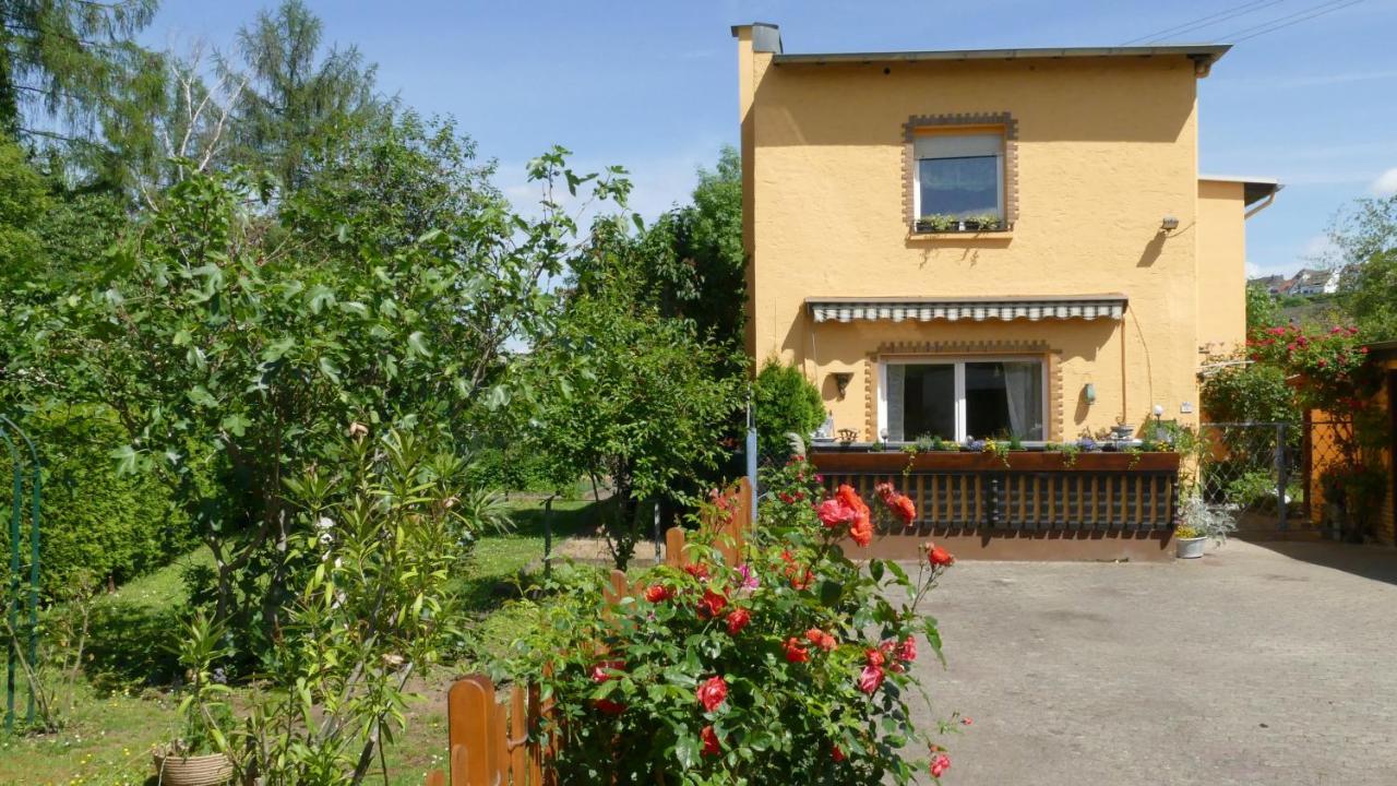 Ferienwohnung Lahnmuendung Mit Kostenlosem Parkplatz Ланштайн Екстер'єр фото